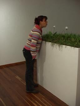 Through the interactive installation the spectator detonates the action of the simple event of blowing a dandelion in not just one place but different places, focusing the attention on a simple and sometimes overlooked event, each time someone blows videos run at random order with  various previously recorded images through Bogot? the city I work in, but with the advantage of landscapes that can be found in every city, showing the chaos of the present phenomenon, the aleatory effects one simple dandelion can cause when someone blows it away and interacts with it .